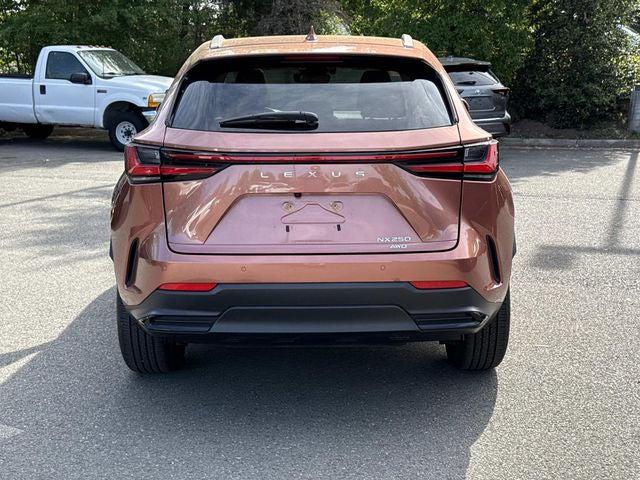 2025 Lexus NX 250 250 Base