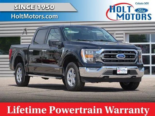 2023 Ford F-150 XLT for sale in Cokato, MN