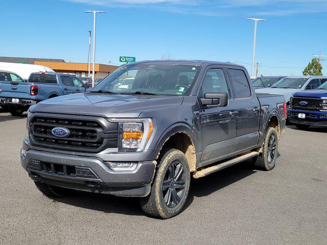 2022 Ford F-150 XLT for sale in Laramie, WY
