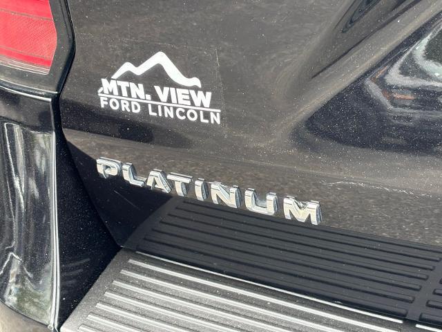 2020 Ford Expedition Platinum