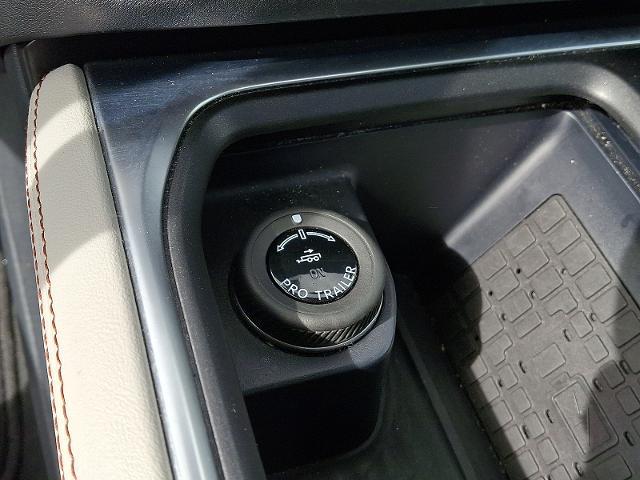 2025 Ford Expedition Active MAX