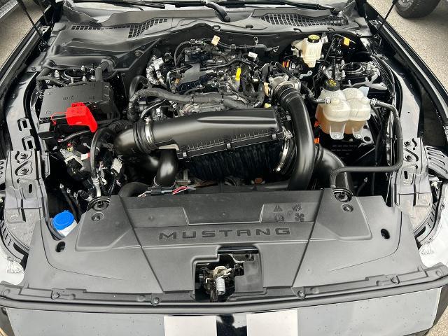 2025 Ford Mustang EcoBoost Premium Fastback