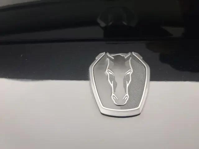 2024 Ford Mustang Dark Horse Fastback