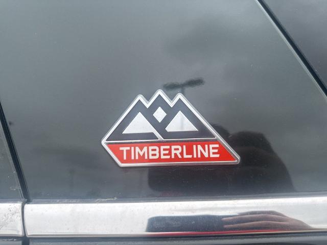 2022 Ford Expedition Timberline