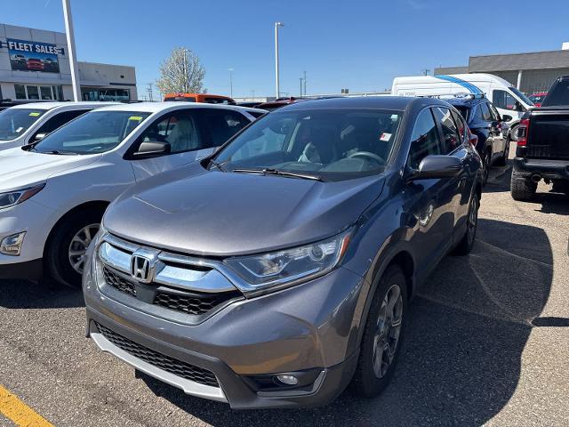 2019 Honda CR-V EX for sale in Sterling Heights, MI
