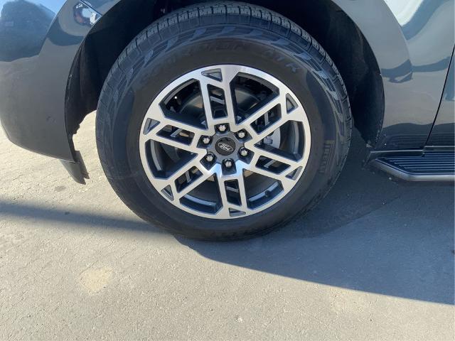 2025 Ford Expedition Active MAX