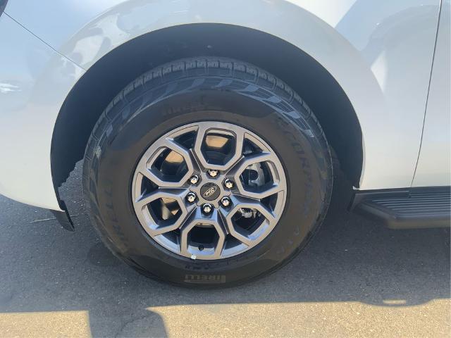 2025 Ford Expedition Active MAX