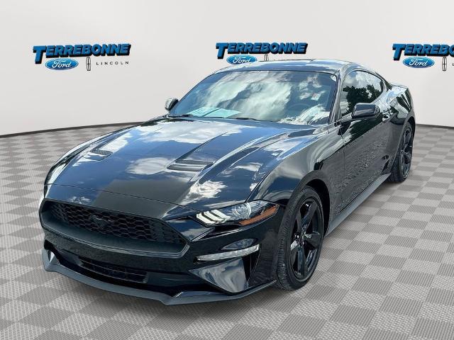 2022 Ford Mustang EcoBoost Fastback for sale in Houma, LA