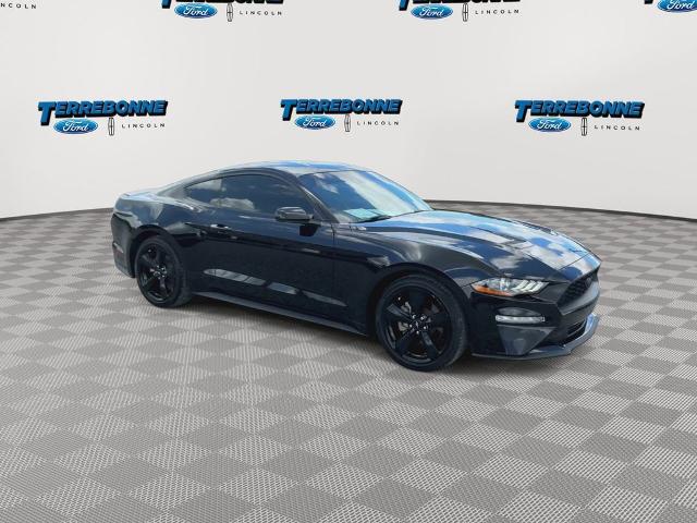 2022 Ford Mustang EcoBoost Fastback