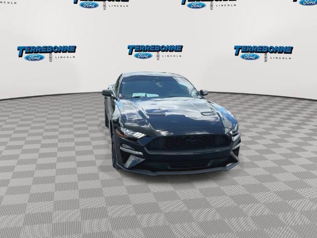 2022 Ford Mustang EcoBoost Fastback