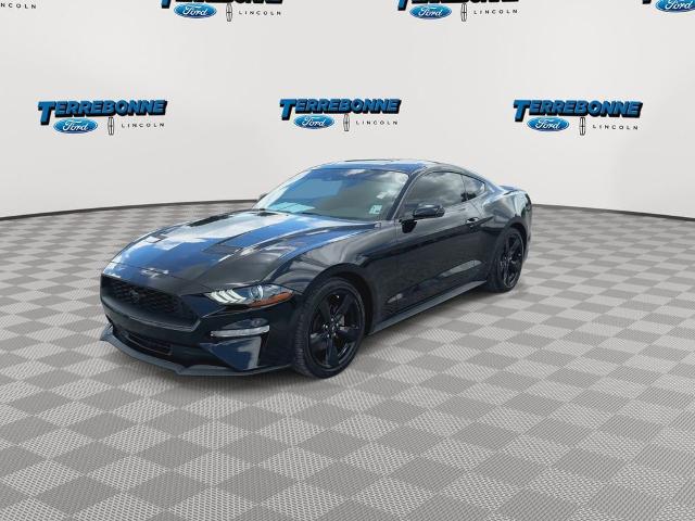 2022 Ford Mustang EcoBoost Fastback