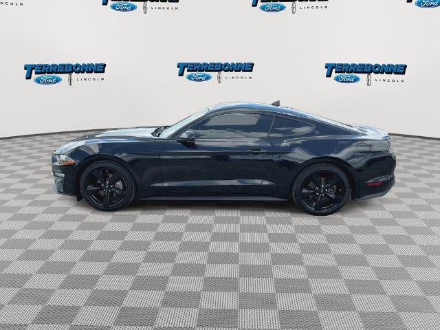 2022 Ford Mustang EcoBoost Fastback