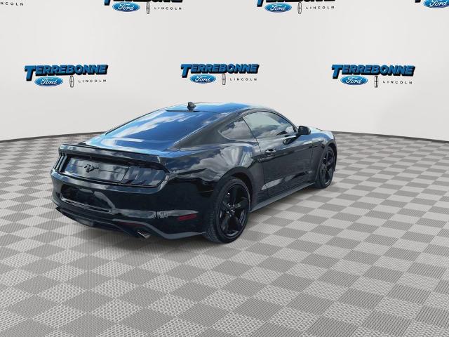 2022 Ford Mustang EcoBoost Fastback