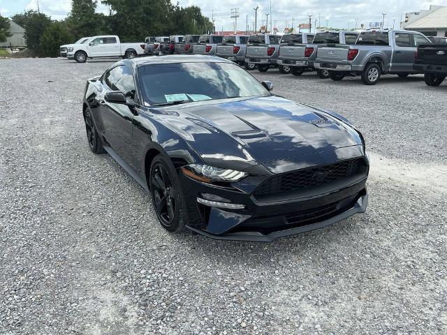 2022 Ford Mustang EcoBoost Fastback