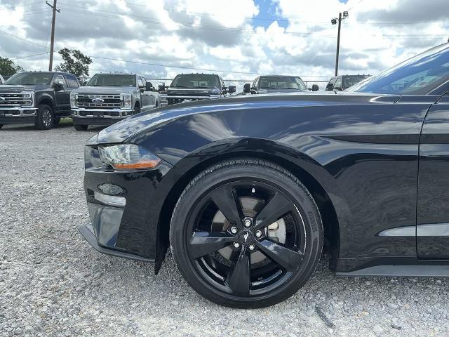 2022 Ford Mustang EcoBoost Fastback