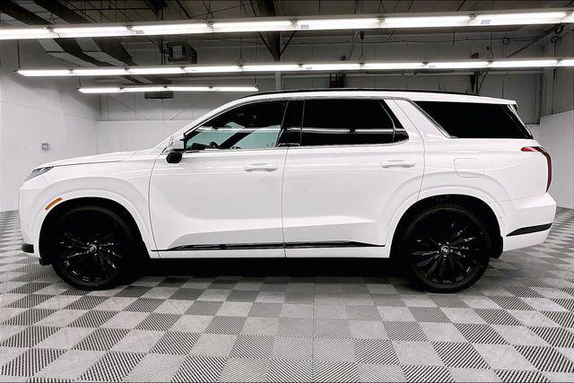 2025 Hyundai Palisade Calligraphy Night Edition