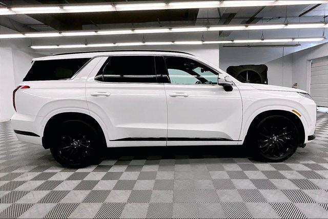 2025 Hyundai Palisade Calligraphy Night Edition