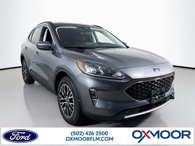 2022 Ford Escape SEL Plug-In Hybrid for sale in Louisville, KY