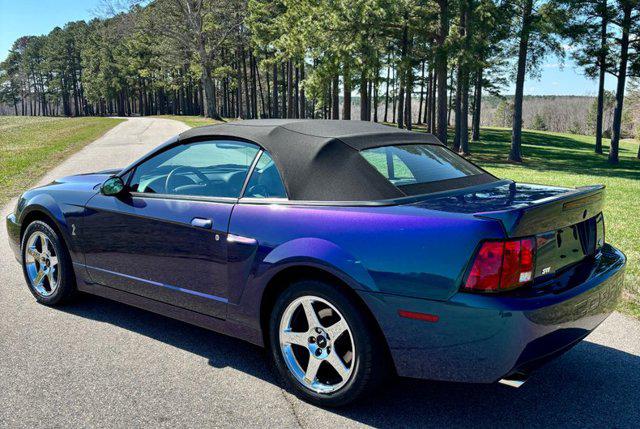 2004 Ford Mustang Cobra