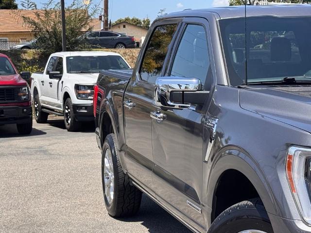 2023 Ford F-150 Platinum