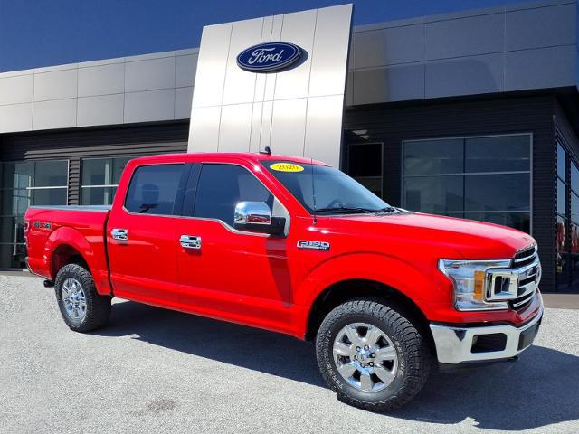 2020 Ford F-150 XLT for sale in Bowling Green, KY