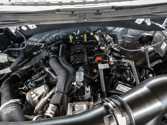 2025 Ford Expedition Active MAX