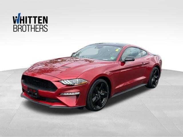 2022 Ford Mustang EcoBoost Premium Fastback 2022 Ford Mustang EcoBoost Premium Fastback