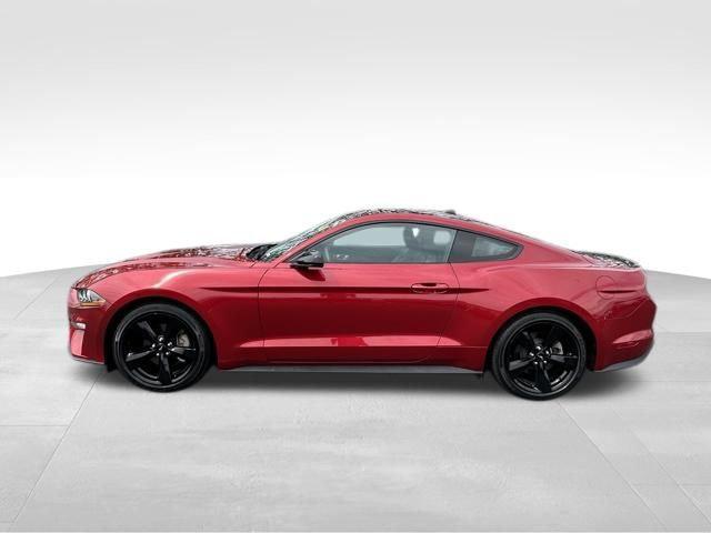 2022 Ford Mustang EcoBoost Premium Fastback 2022 Ford Mustang EcoBoost Premium Fastback