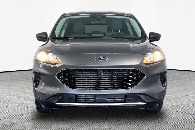 Used 2022 Ford Escape SE For Sale in Olive Branch, MS