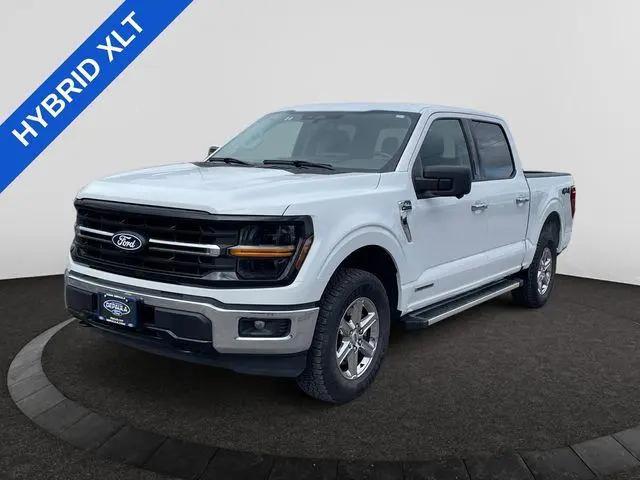 2024 Ford F-150 XLT for sale in Albany, NY