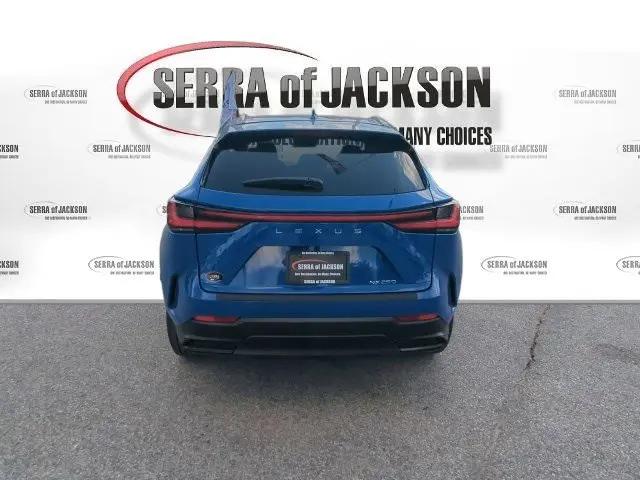 2025 Lexus NX NX 250