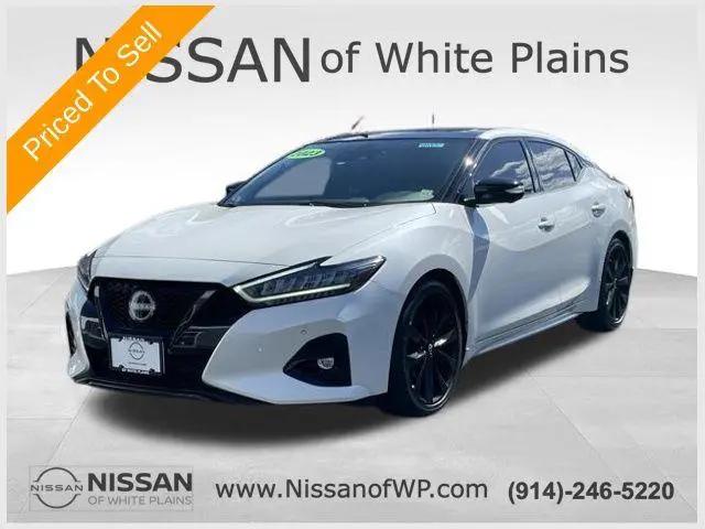 2023 Nissan Maxima SR Xtronic CVT for sale in White Plains, NY