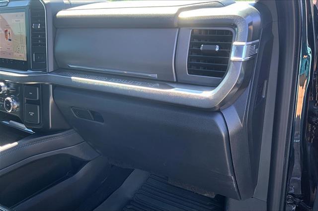 2025 Ford F-250 Platinum