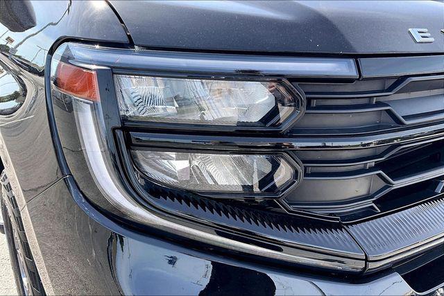 2025 Ford Expedition Active MAX