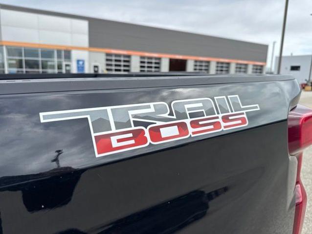 2021 Chevrolet Silverado 1500 4WD Crew Cab Short Bed Custom Trail Boss