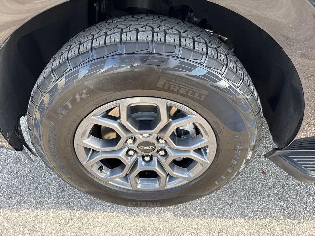 2025 Ford Expedition Active MAX
