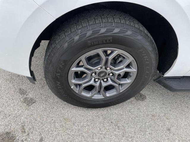 2025 Ford Expedition Active MAX