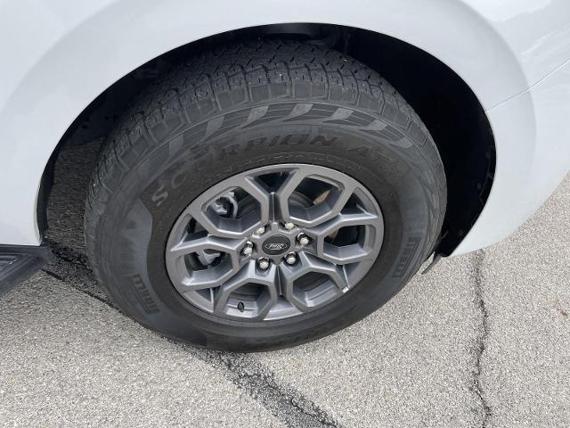 2025 Ford Expedition Active MAX