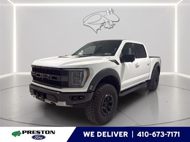 2023 Ford F-150 Raptor for sale in Hurlock, MD