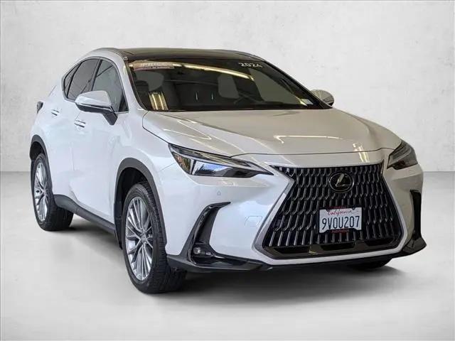2024 Lexus NX 350 Luxury
