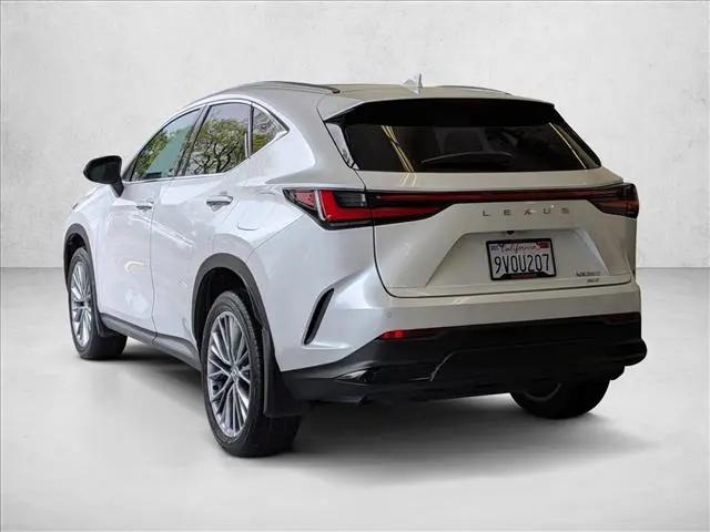 2024 Lexus NX 350 Luxury