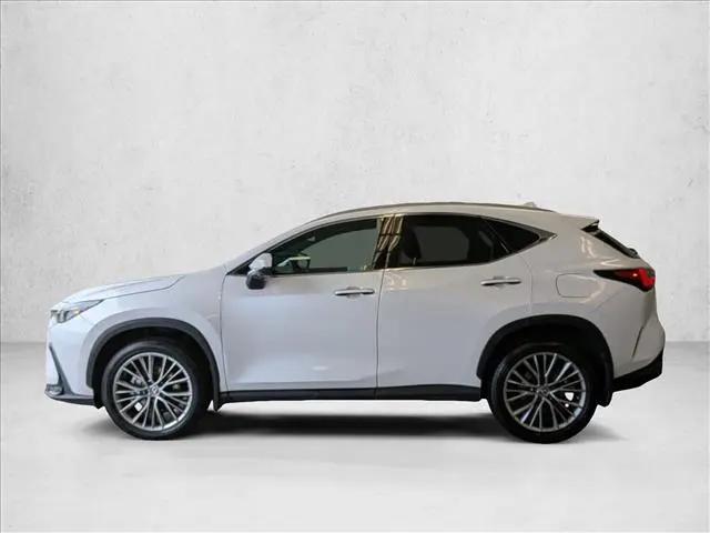 2024 Lexus NX 350 Luxury