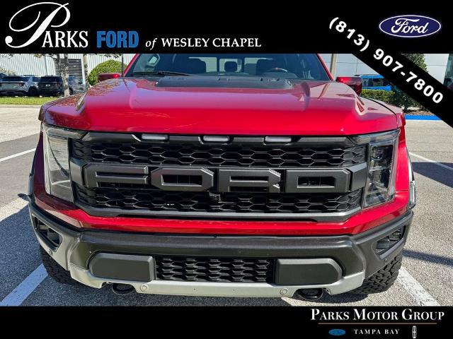 2023 Ford F-150 Raptor for sale in Wesley Chapel, FL