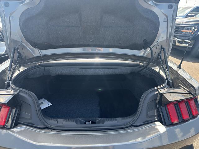 2025 Ford Mustang EcoBoost Convertible