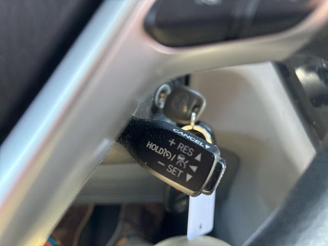 2019 Toyota Sienna L 7 Passenger