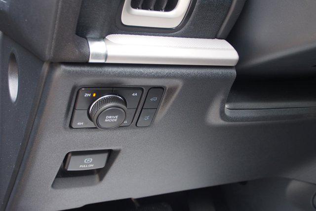 2025 Ford Expedition Active MAX