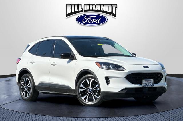 2021 Ford Escape SE Hybrid for sale in Brentwood, CA