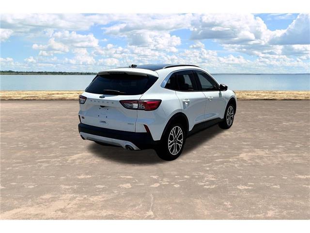 2020 Ford Escape SEL