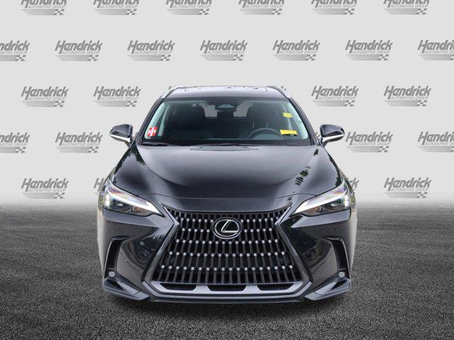 2025 Lexus NX Premium