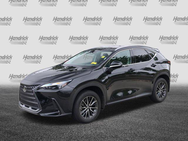 2025 Lexus NX Premium